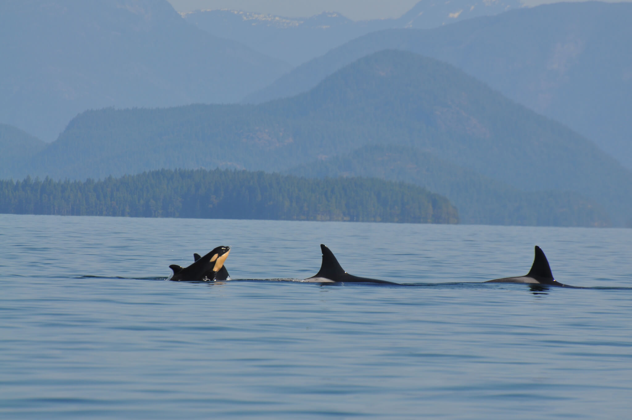 DSC_0405 DSC_0405