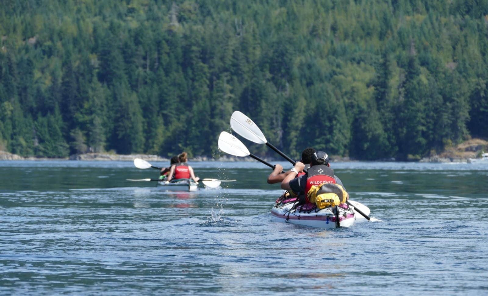 Two Kayakers paddling Discovery Islands on Kayaking Tour