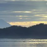 A small orca fin in the water, with tree lined hills in the background. Snipit of Orcalab Base Cam