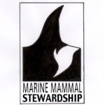 Square Box with Drawing of an Orca fin and the words North Island Marine Mammal Stewardship Association