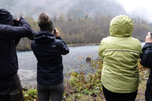 3 people in rain jackets taking photo of grizzly bear in the river in front of them