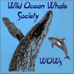 Wild Ocean Whale Society Logo