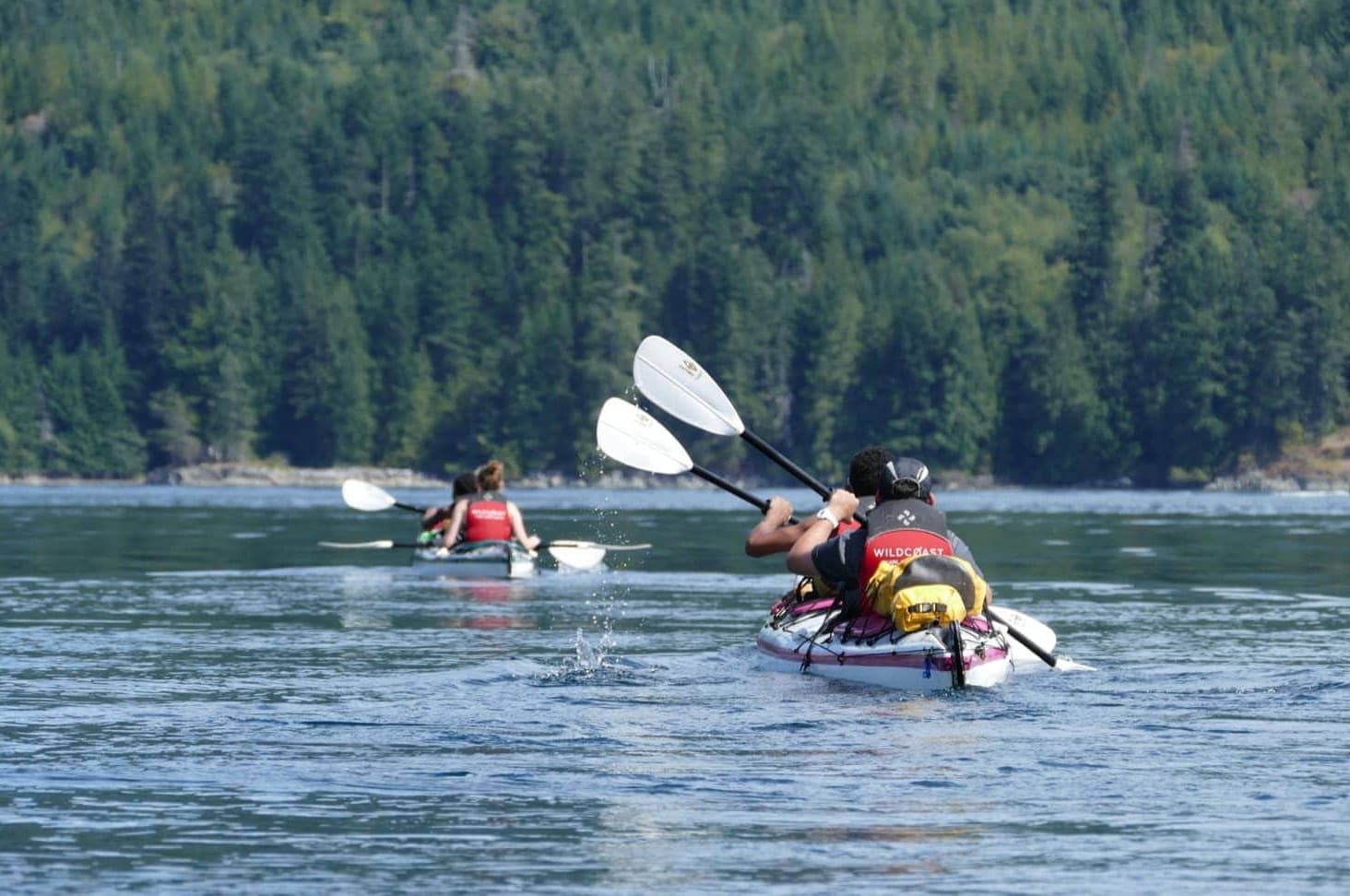 two people in kayaks paddling on the water