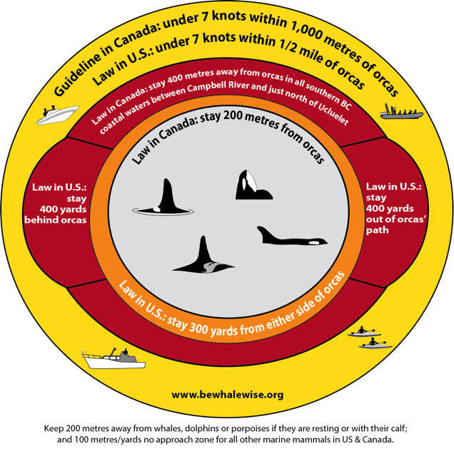 Whale Wise Viewing Guidelines