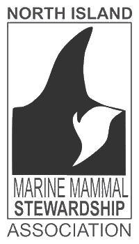 NIMMSA Logo