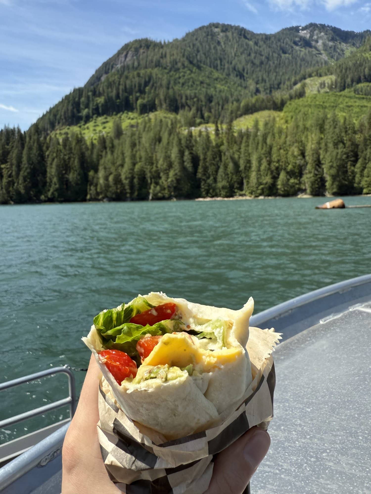 Lunch wrap in nature on a tour