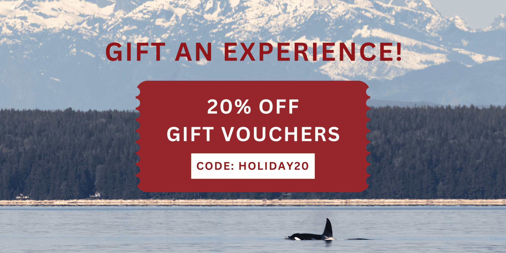 A banner showing a killer whale and stating the promo code HOLIDAY20 to save 20% gift cards.