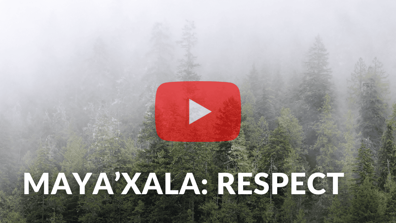 Youtube Tumbnail for Maya’xala: Respect