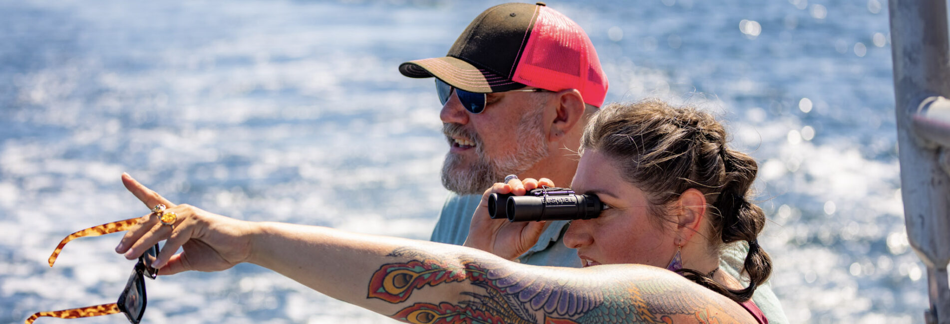 Guests watching wildlife with binoculars