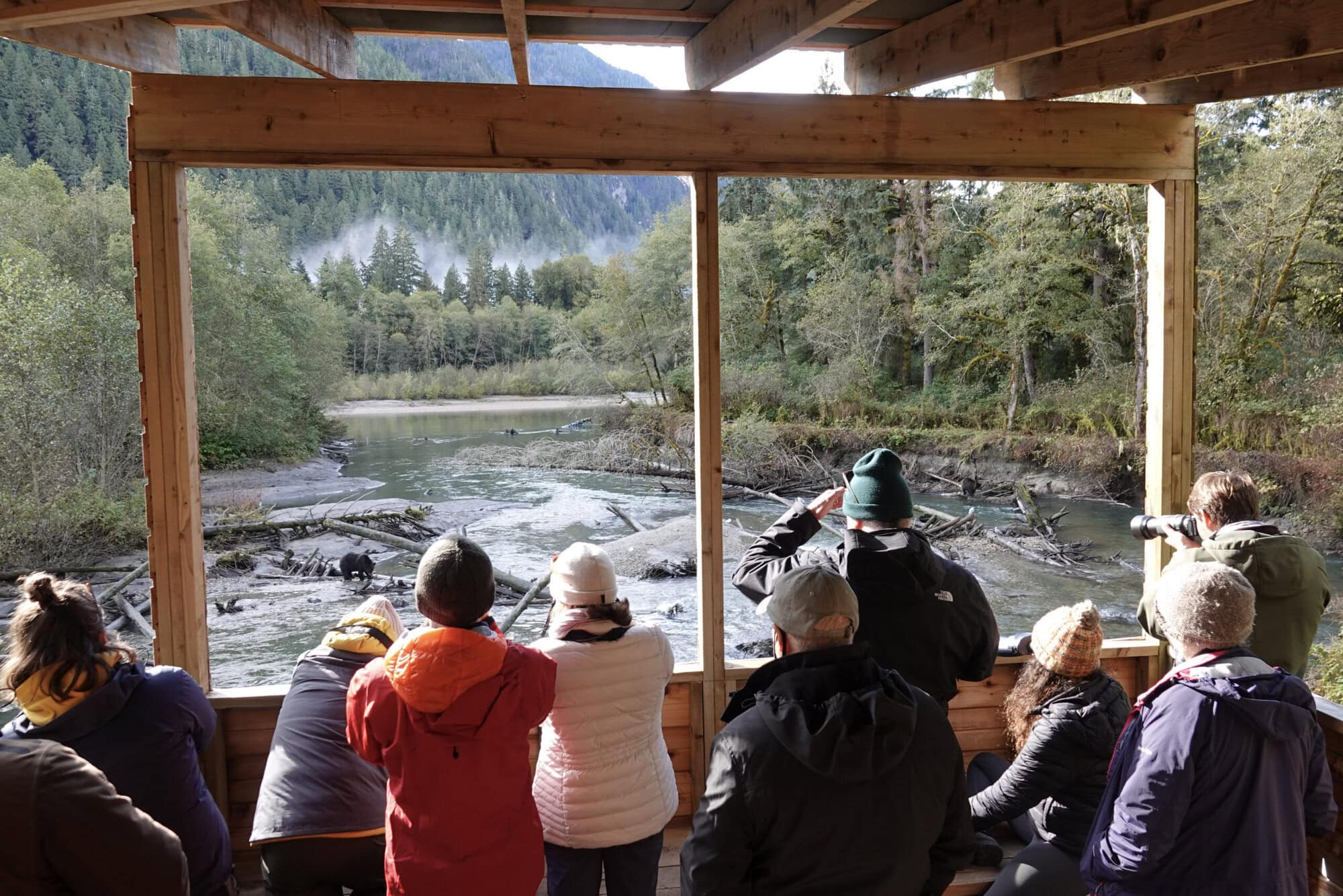 Grizzly bear viewing tower