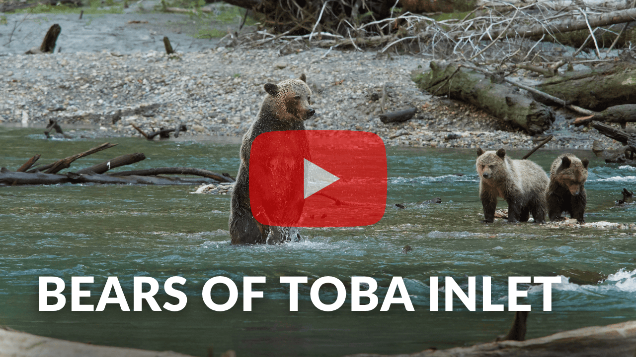 Toba Inlet Youtube Video Thumbnail