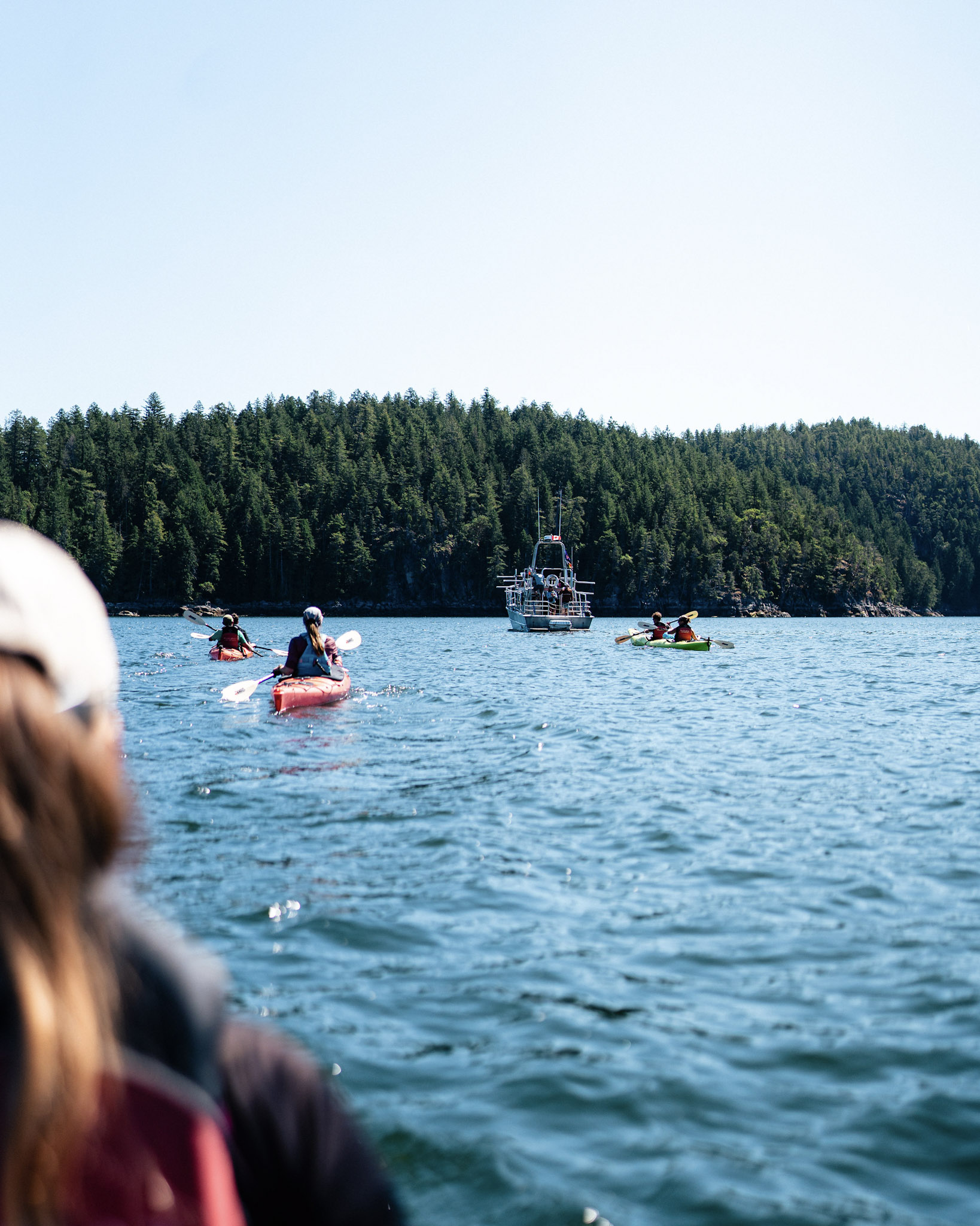 Kayaks and a covered boat