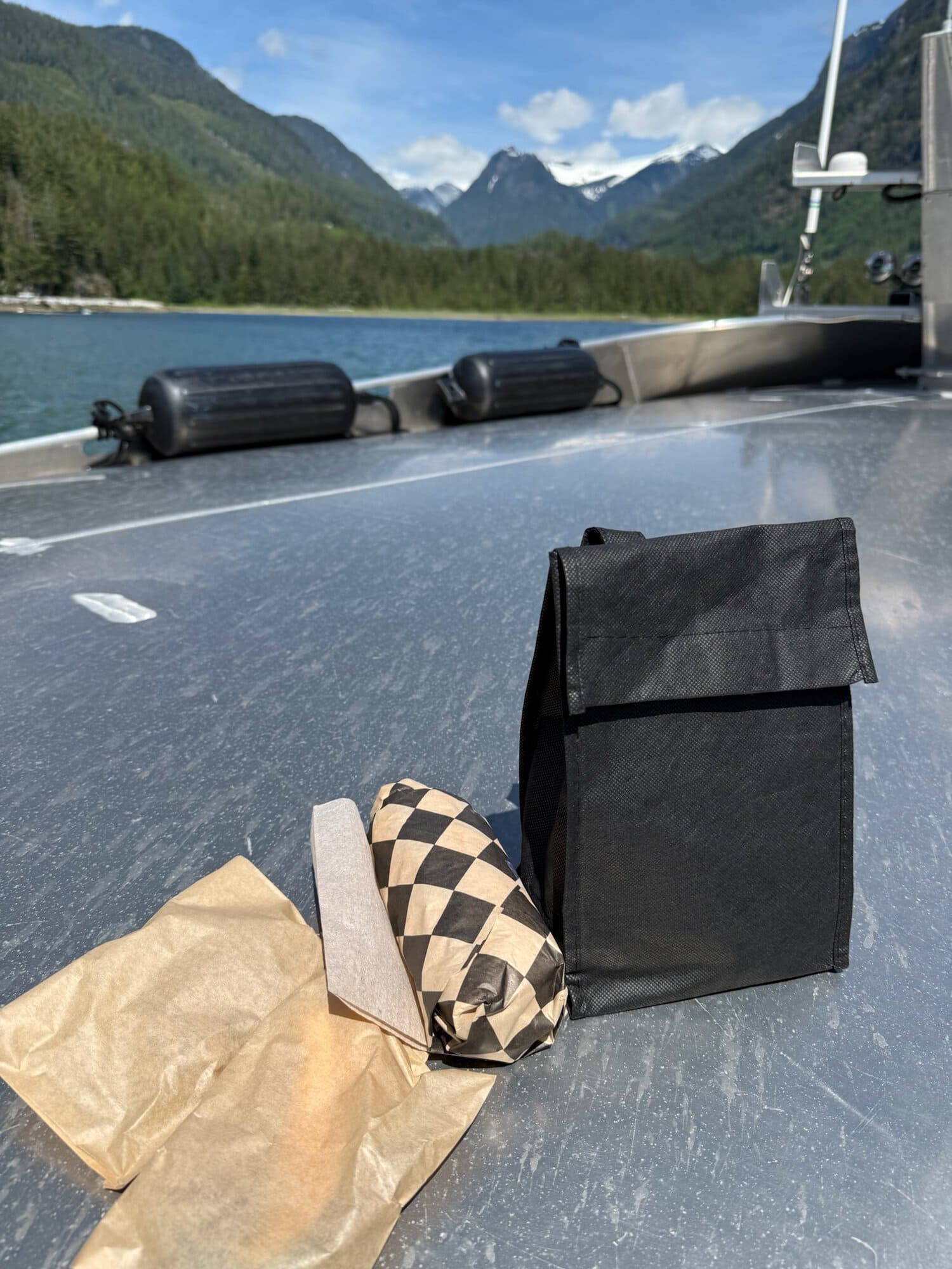 Lunch overlooking Toba Inlet