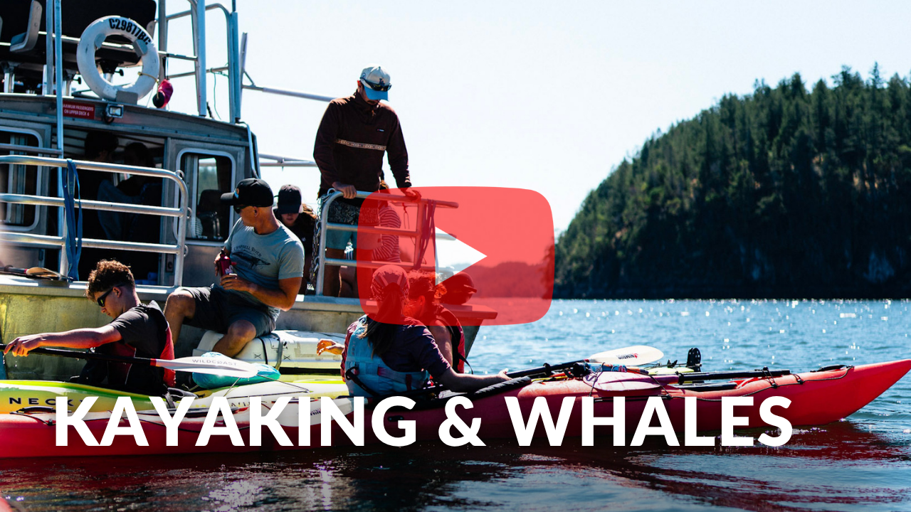 Kayaking Tour Youtube Thumbnail