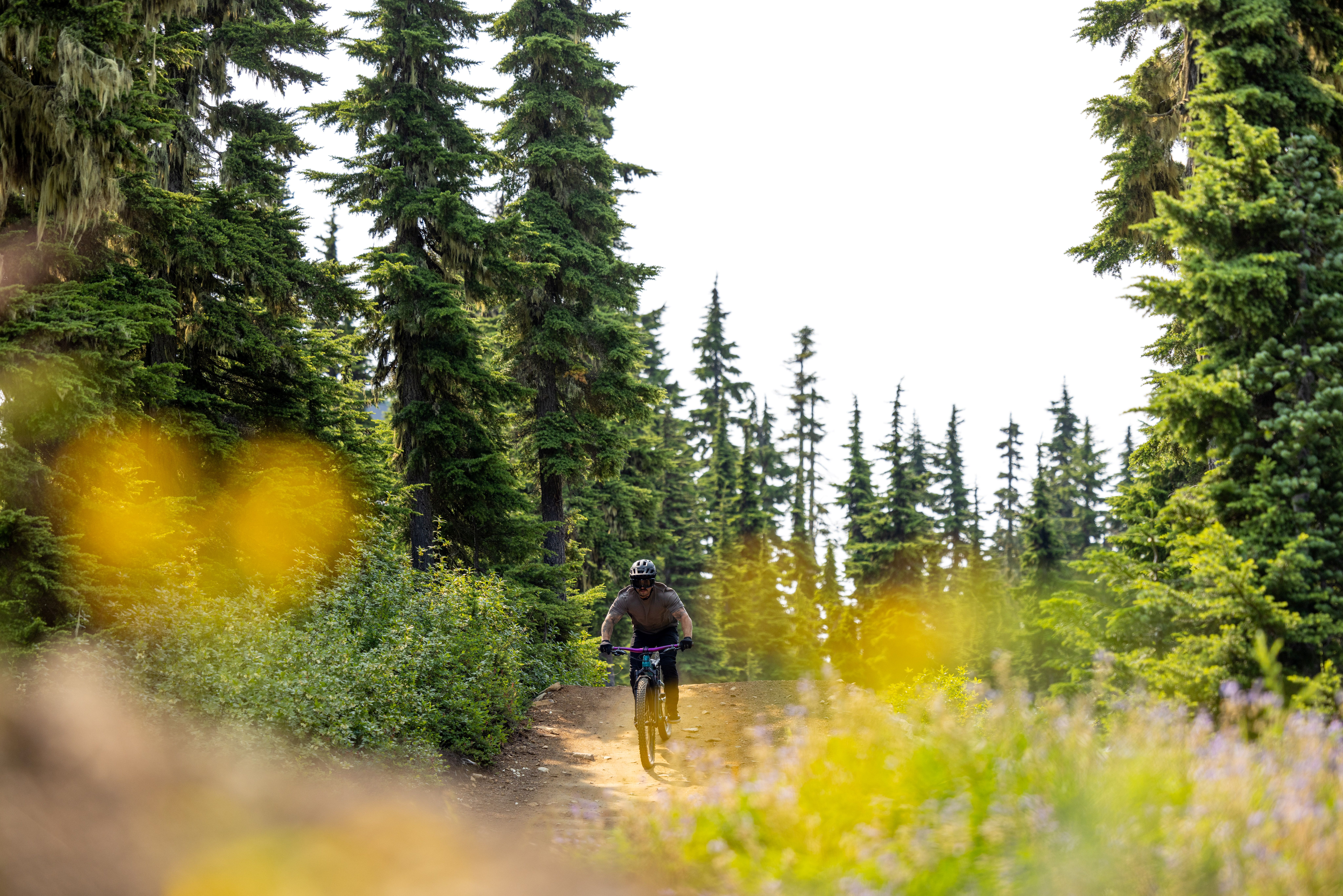 Mountainbiker on a trail