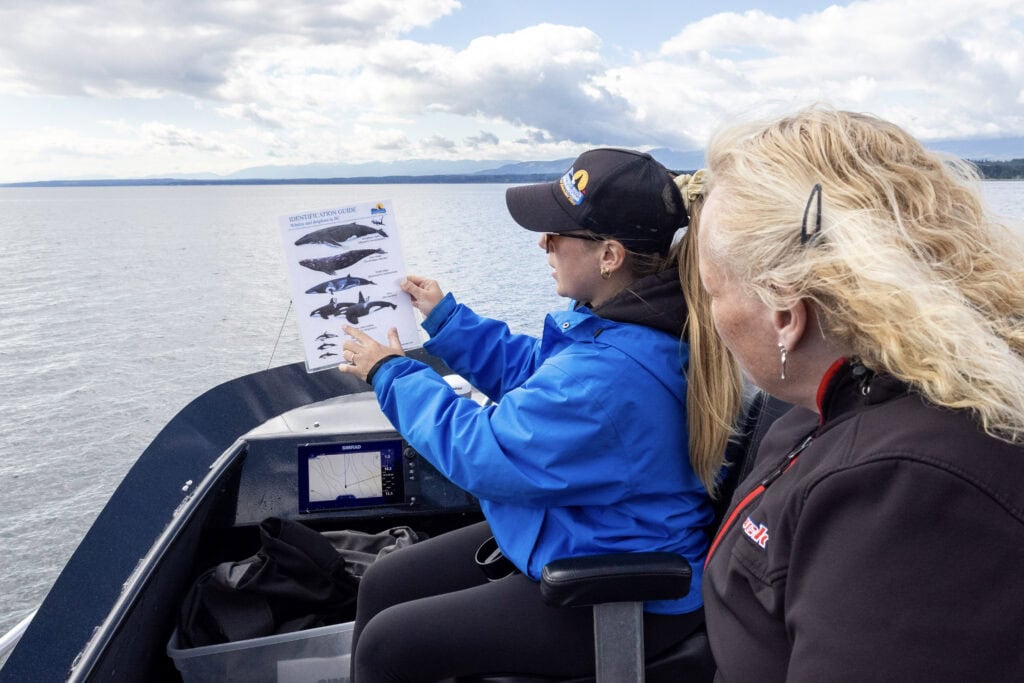 Whale watching naturalist interpretation