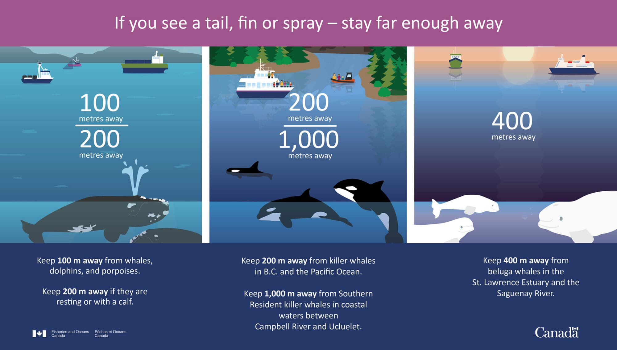Canadian Marine Mammal Regulations visualized