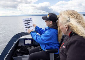 Whale watching naturalist interpretation