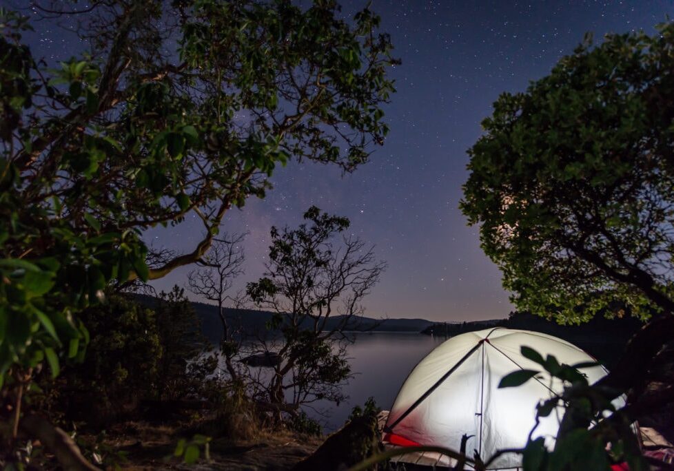 Lit up Tent on beach between Arbutus trees at night under a Stary Sky