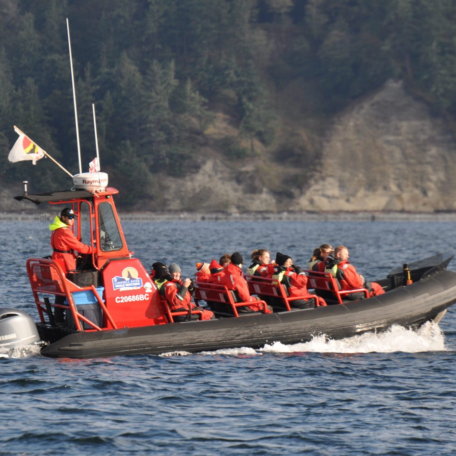 Red and Black zodiac in water