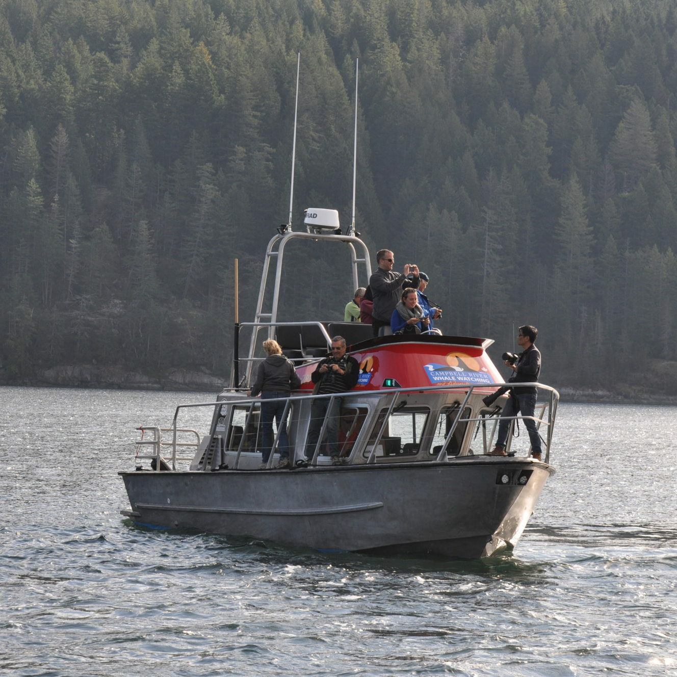 Covered Whale Watching Vessel with guests on board
