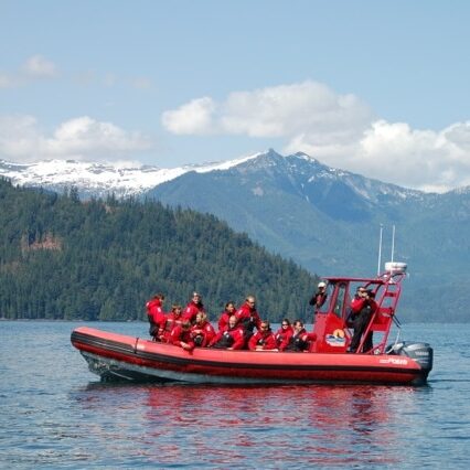 Red zodiac in front of mountains