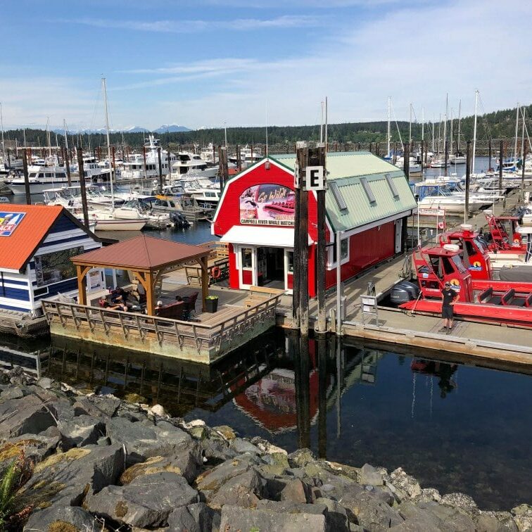 Red Float House in Discovery Harbour marina as seen from the street above